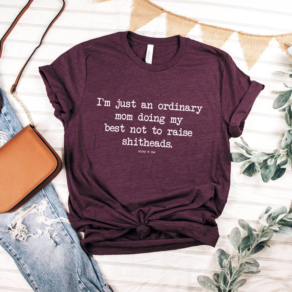 Ordinary Mom Funny Motherhood Graphic Tee